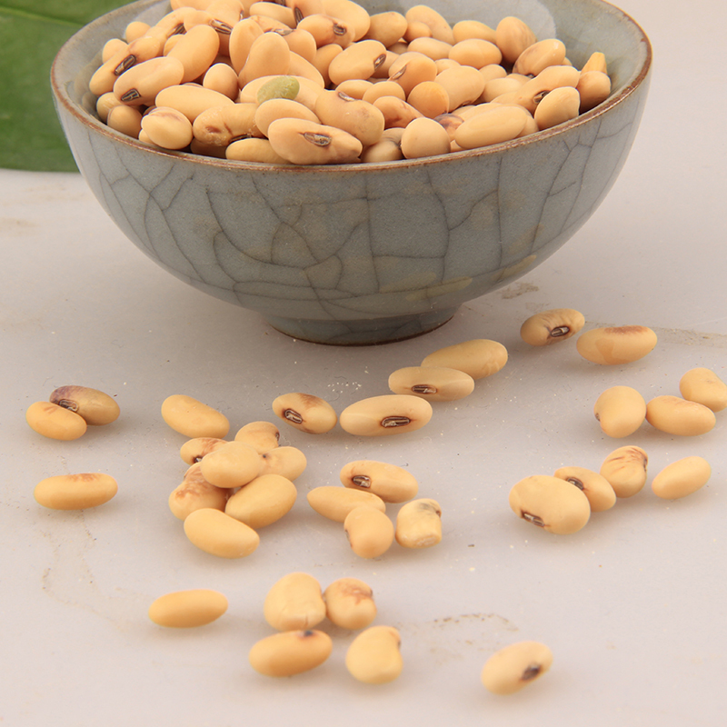 金亮子jinliangzi五谷杂粮扁黄豆600g单位袋