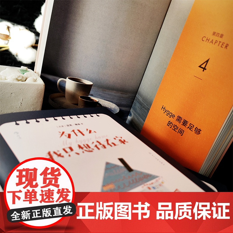为什么我只想待在家 创造美好居家氛围的北欧生活艺术 一份高清大图