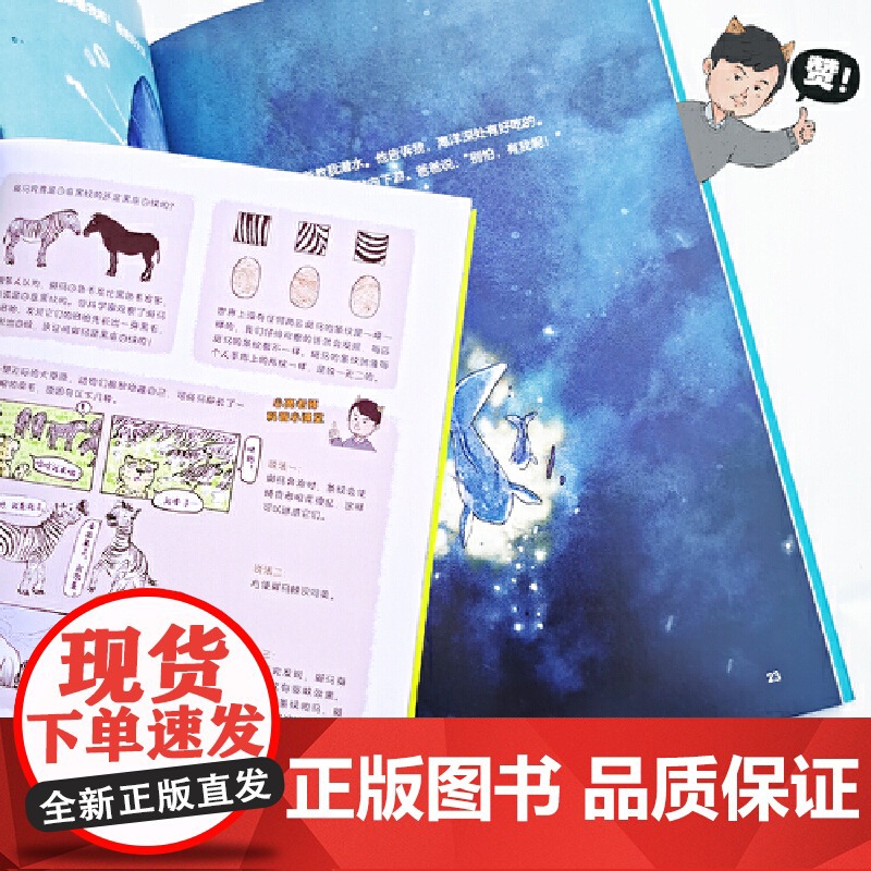 正版新书 小亮老师的动物科普绘本·动物的日常(全6册 无穷小亮首套儿童科普绘本 适合3-8岁)亲子睡前读物高清大图