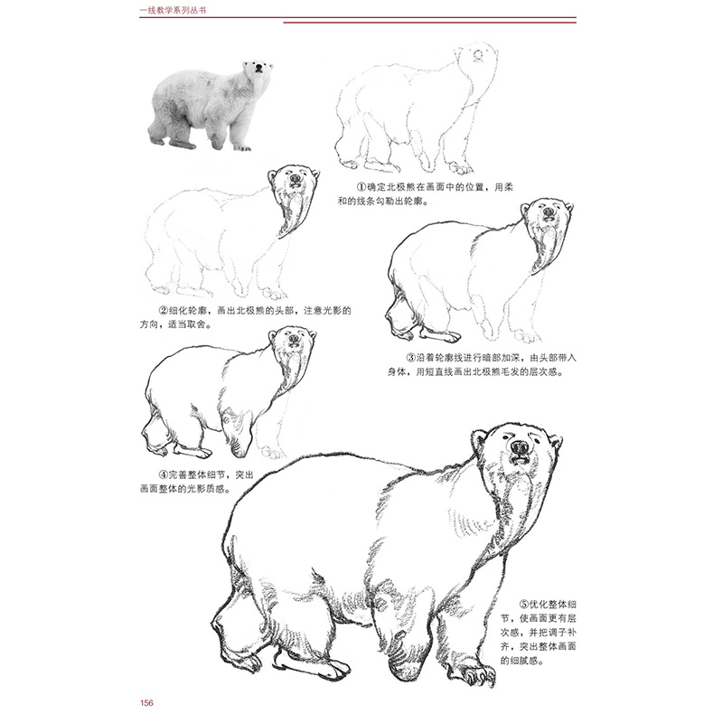 [正版]兴趣学速写200例 速写动物画册书籍临摹本零基础入门自学速写纯手绘画基础技法训练范本美术初学者教程书 桑海新编高清大图
