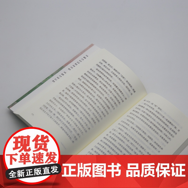 眩晕的散步 武田泰淳著田肖霞默音译本上海文艺出版社战后派代表作家作品野间文艺奖札记生命经历日本近代历史回忆高清大图