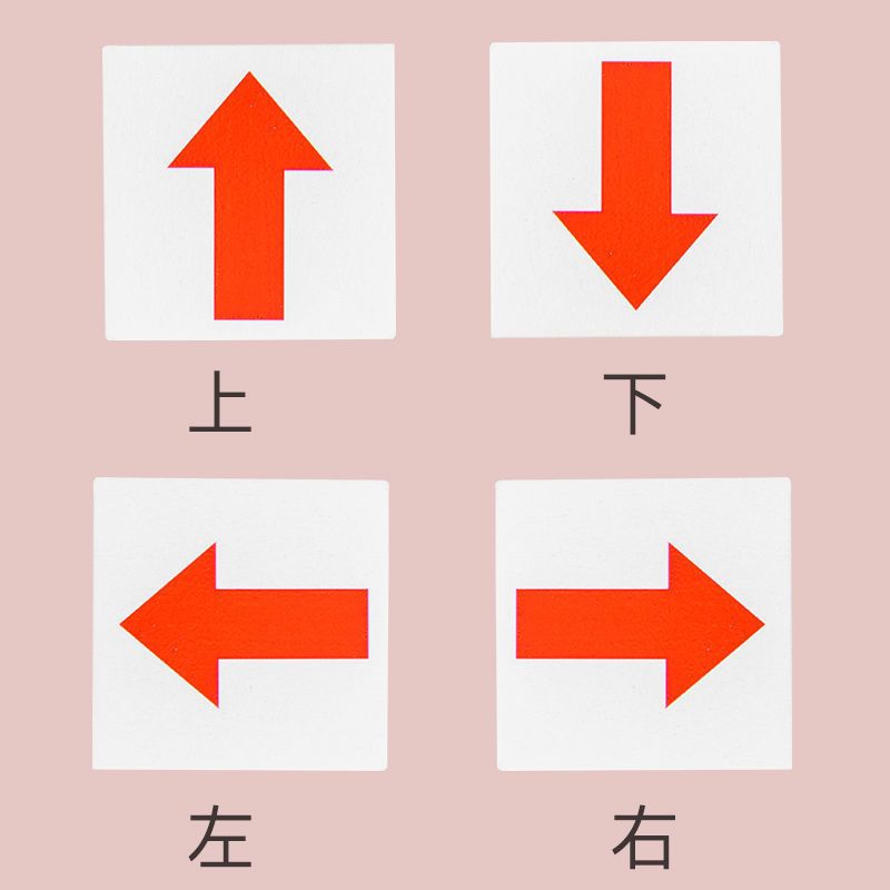 儿童益智逻辑训练玩具方向颜色认知幼儿园教具专注力桌面游戏数学颜色