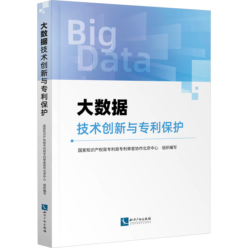 [M]大数据技术创新与专利保护-9787513089265高清大图