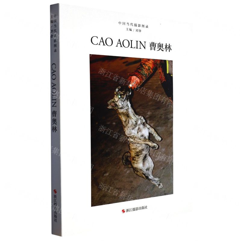 [N]曹奥林(精)/中国当代摄影图录-9787551443296高清大图