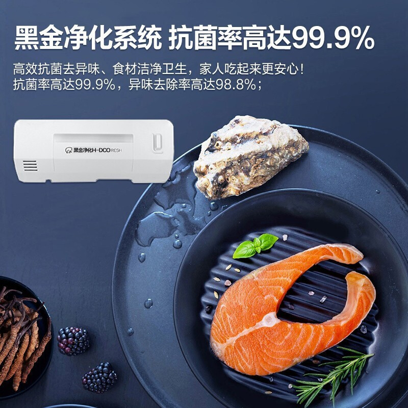 海尔(Haier)526升对开门冰箱双开门大容量超薄节能双变频风冷无霜黑金净化保鲜家用BCD-526WGHSSEDB9高清大图