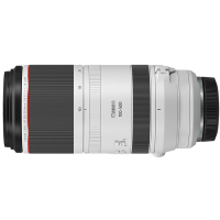 佳能(Canon) RF 100-500mm F4.5-7.1 L IS USM远摄变焦镜头 适合佳能EOS RP R R5 R6等全画幅微单相机 礼包版