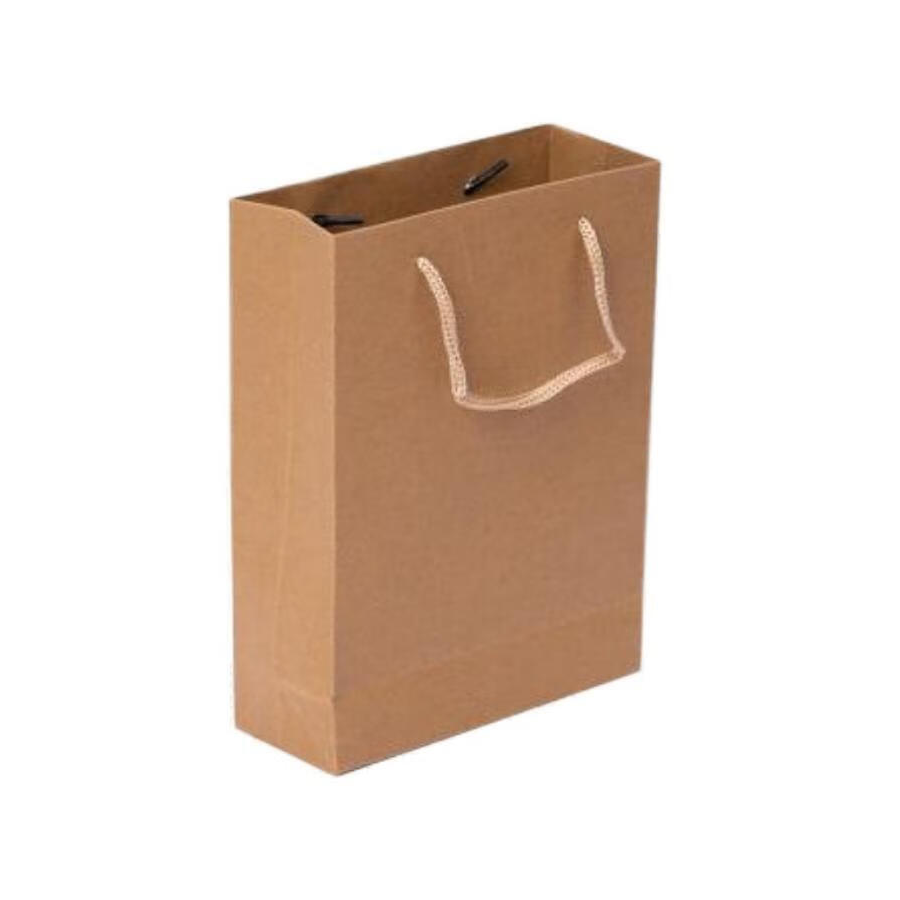 秦泰(Cqint) QtZD-001 20*25*8cm 小号竖式牛皮纸袋 文件袋 (计价单位:个) 本色高清大图
