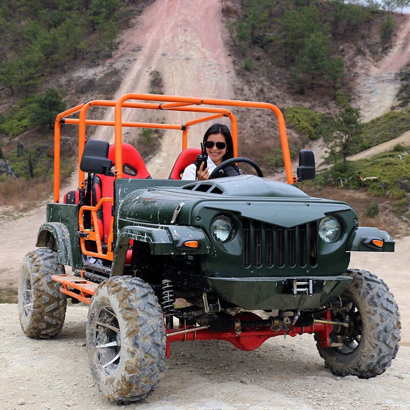 婉晨新能源 新款铁壳五座电动汽车成人四轮电动车新能源油电两用成人代步车五门五座全封闭5人女性电动较车图片