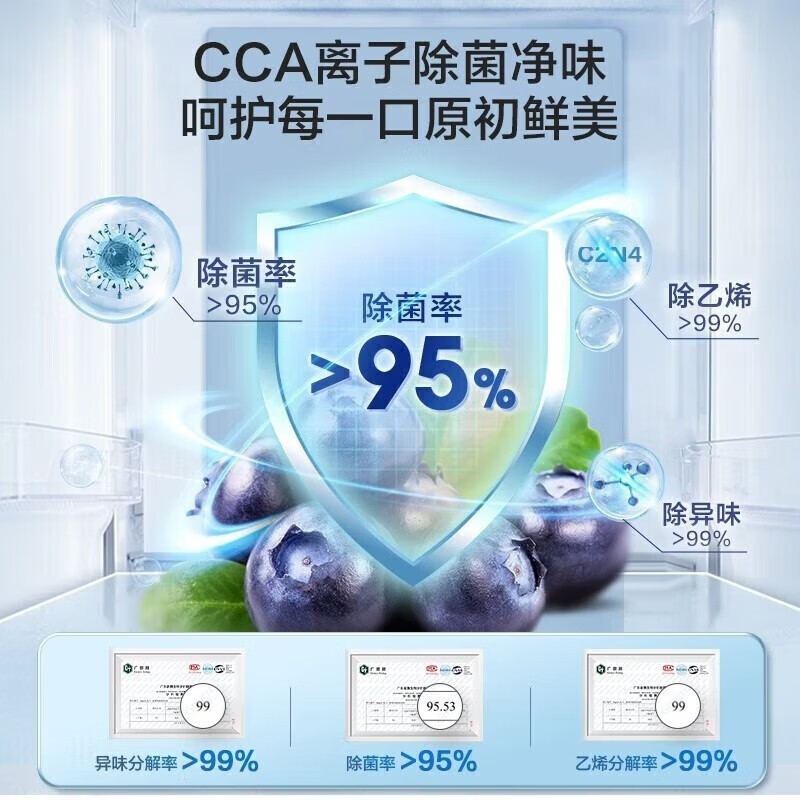 容声(Ronshen)对开门冰箱605升大容量一级能效风冷无霜CCA离子除菌净味 BCD-605WD11HP