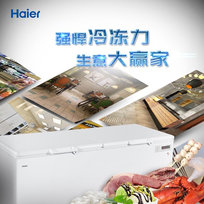 Haier/海尔冰柜超市商用大容量1028升卧式双开门冷藏冷冻转换冷柜带锁带脚轮海鲜柜大冷柜 -26度可冻1500斤