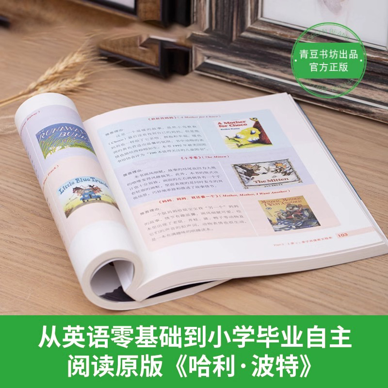 [正版]央视网别错过孩子英语学习敏感期 常青藤爸爸教你英语分龄启蒙法英文绘本幼儿学习书籍小学一年级儿童不能错过的英语启