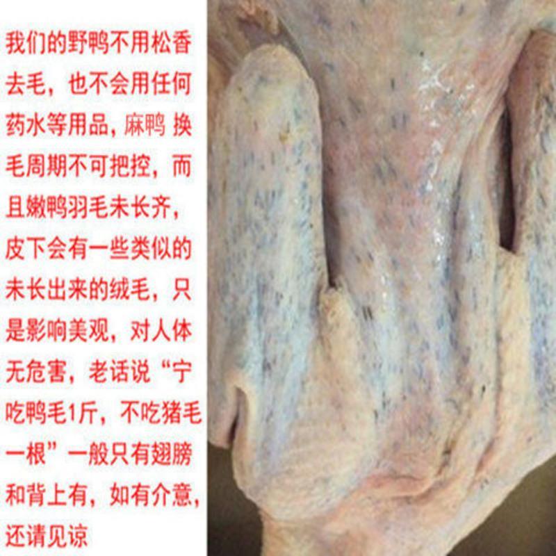鸭子一只两斤以上生鲜鸭肉整只鸭肉新鲜鸭子老鸭麻鸭批发零售 鲜鸭两只装(每只2-2.5斤左右)