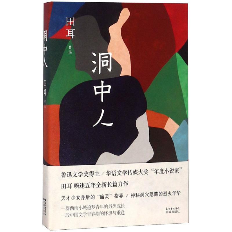 正版新书]洞中人田耳9787536085947高清大图