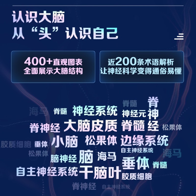 [正版]书店大脑之书 系统解读大脑工作原理 脑科学通识课 了解脑子 3磅宇宙的奇迹 神经脑科学书籍高清大图