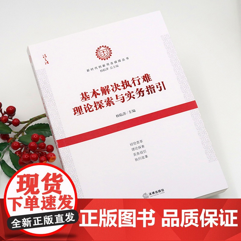 D正版 基本解决执行难理论探索与实务指引 杨临萍主编 法律出版社 执行实践经验实务指引执行改革审判实务高清大图