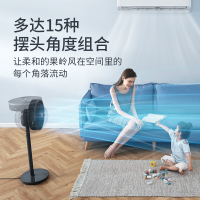 德国蓝宝空气循环扇电风扇落地家用遥控台式摇头涡轮对流电扇