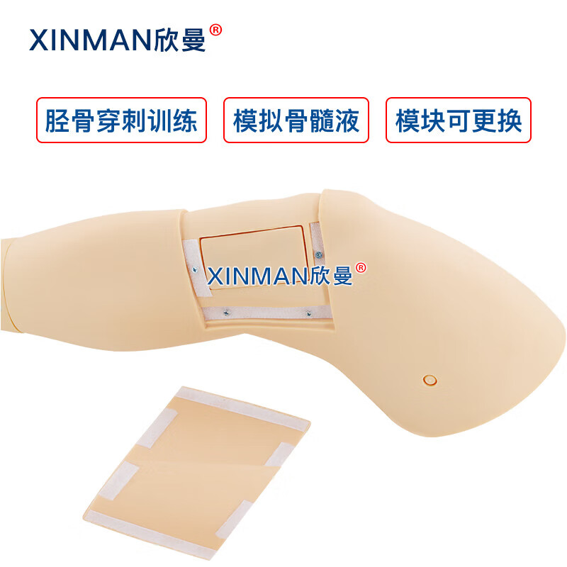 欣曼科教 胫骨穿刺训练模块 成人胫骨骨内穿刺输液训练模型XM-GC3高清大图