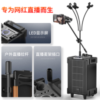 爱浪(AvliGHT) DX20-08 户外广场舞音响直播K歌拉杆移动便携一体式大功率音箱抖音快手网红 8吋