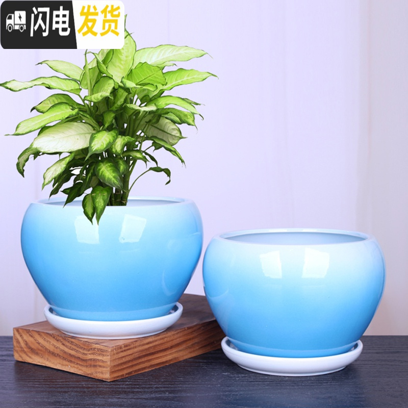 三维工匠苹果型花盆陶瓷大号绿植绿萝花盆创意个性室内阳台兰花盆 苹果.蓝雪兰 大花盆容器