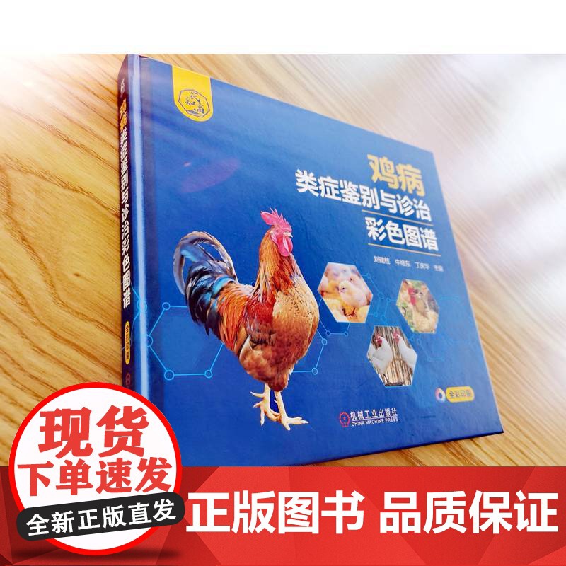 鸡病类症鉴别与诊治彩色图谱 刘建柱牛绪东 养鸡技术书土鸡蛋鸡养殖技术书籍鸡场畜牧兽医常看图识病类病鉴别综合防治用药诊断要高清大图