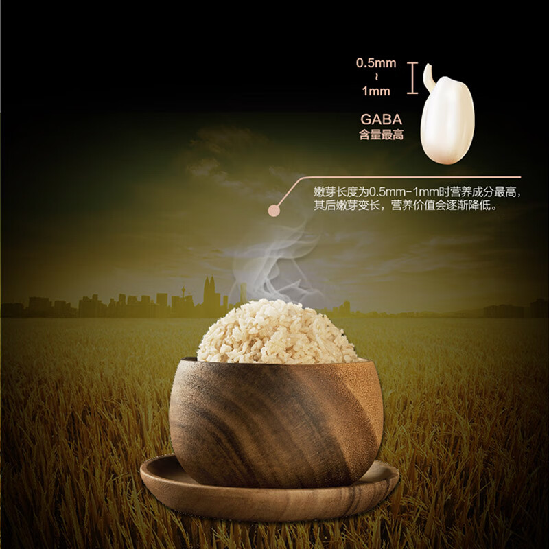 格力(GREE)电饭煲家用1-3人迷你电饭锅2L 健康糙米发芽 IH加热 多功能金康煲 GDCF-2008C高清大图
