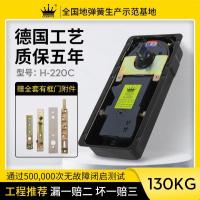 地弹簧H220C承重110KG玻璃门有框无框木门通用配件弹簧 -90度定位