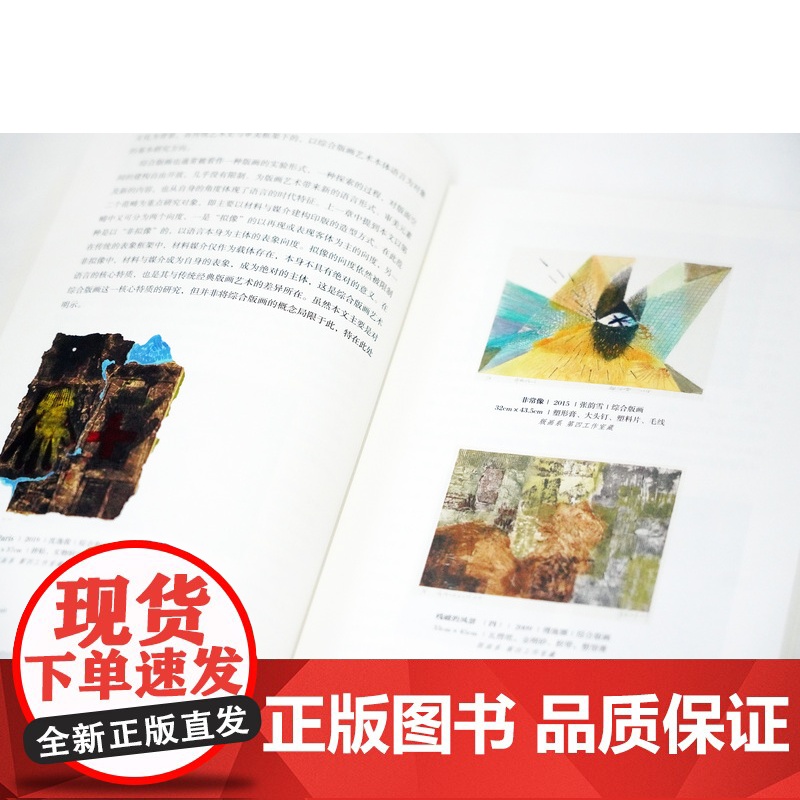 综合版画艺术 鲁利锋著高清大图