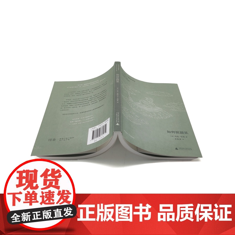 如何捉鼹鼠 9787559876430 北贝 广西师范大学出版社 马克·哈默 著,王知夏 译,惊奇 出品 2025-01高清大图