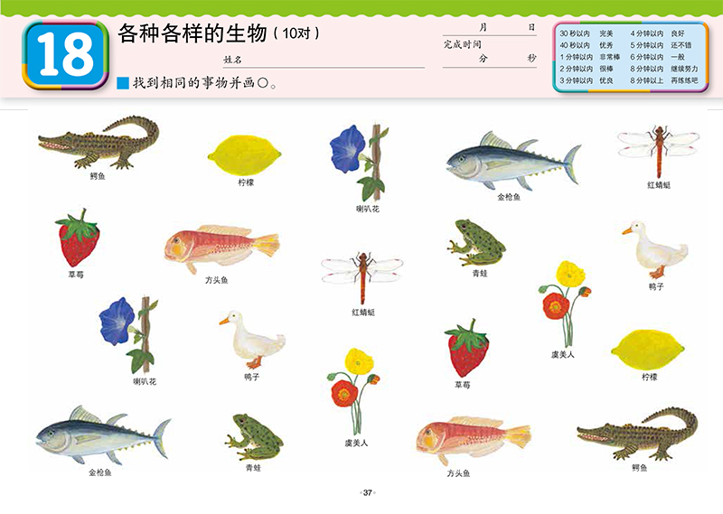 [正版]公文式教育 全脑阶梯训练:创造力(1阶)3-4-5岁公文式早教书全脑开发思维训练书公文式数字书公文式迷宫书儿童高清大图