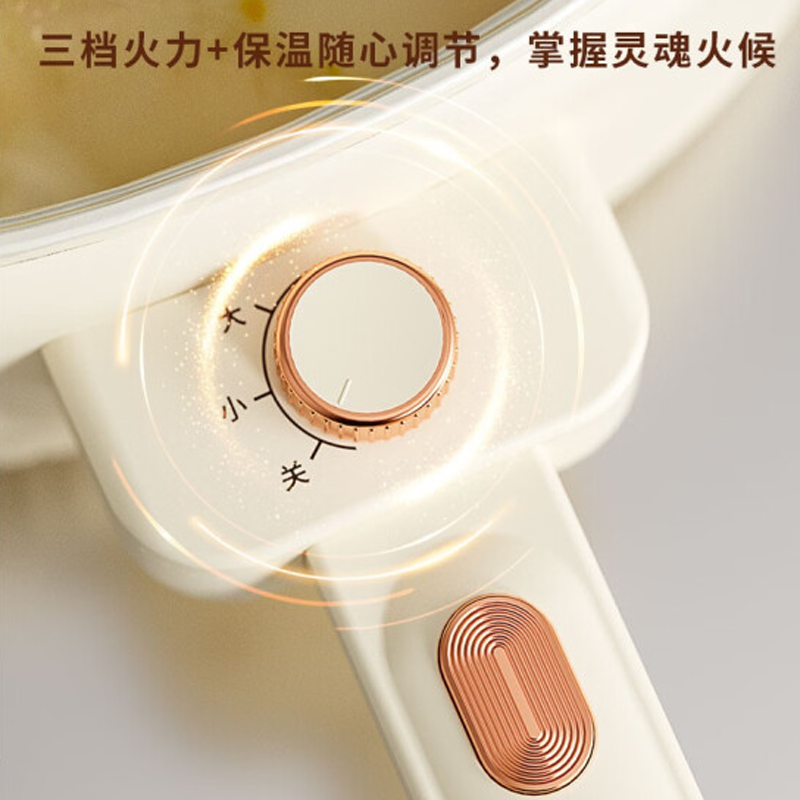 德博莱多功能电炒锅DBL-MGJDZG01高清大图