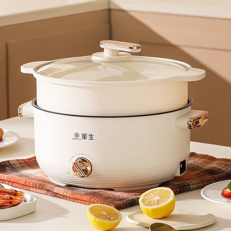 华生电火锅4L YHSR-12