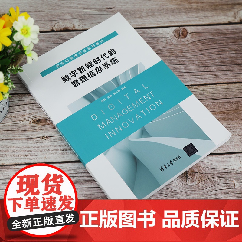 [正版]数字智能时代的管理信息系统 清华大学出版社 柳毅 企业管理信息系统数字化管理创新高清大图