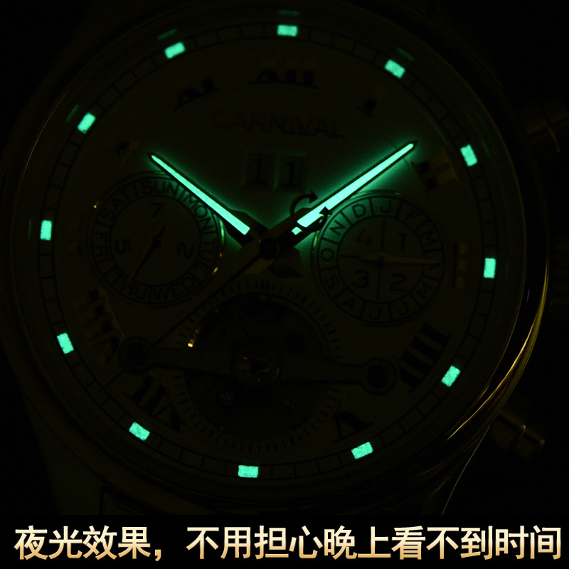 瑞士嘉年华Carnival手表新款自动机械表 男士金属精钢防水镂空男表休闲时尚多功能表星期日历月份夜光显示8728高清大图