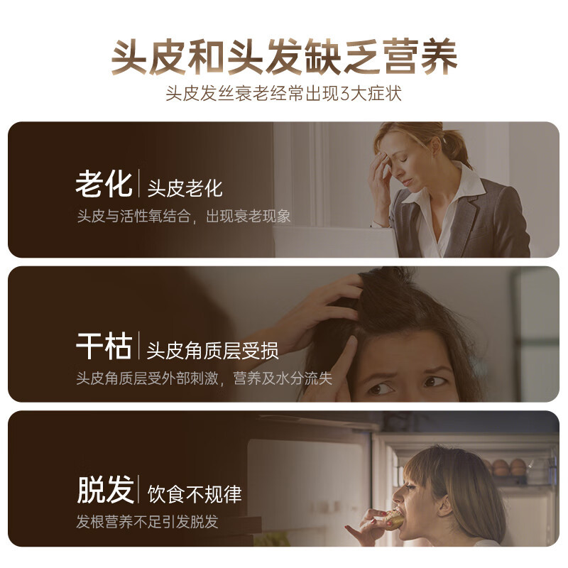 吕(RYO) 洗发水 黑吕臻参焕活御时昇机洗发水 400ml