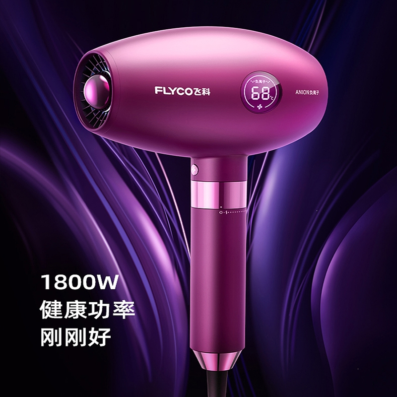 飞科(FLYCO)电吹风家用恒温速干吹风机大功率负离子轻音大风力护发