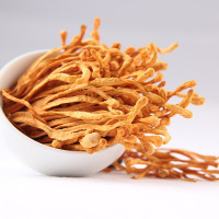 富昌蛹虫草100g 罐装 北虫草 食用菌菇 干货山珍 孢子头 虫草花 煲烫 滋补食材