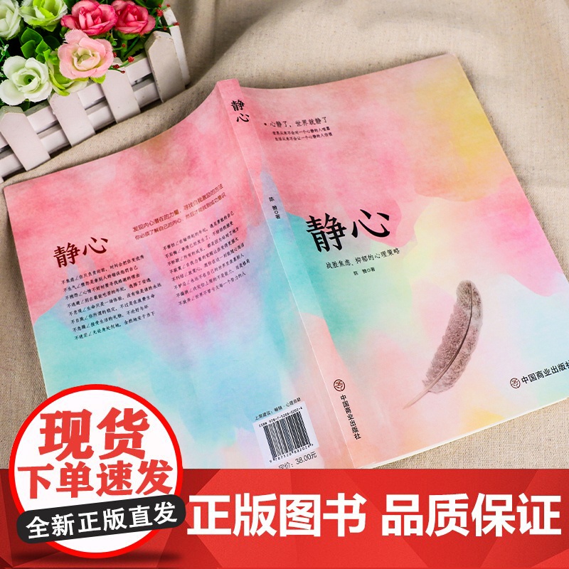 静心+放下全2册正版书籍人生没有什么不可以放下静修心乐观接纳自己爱上生命的不完美我不能放下的一切心理学青春励志书心里学高清大图