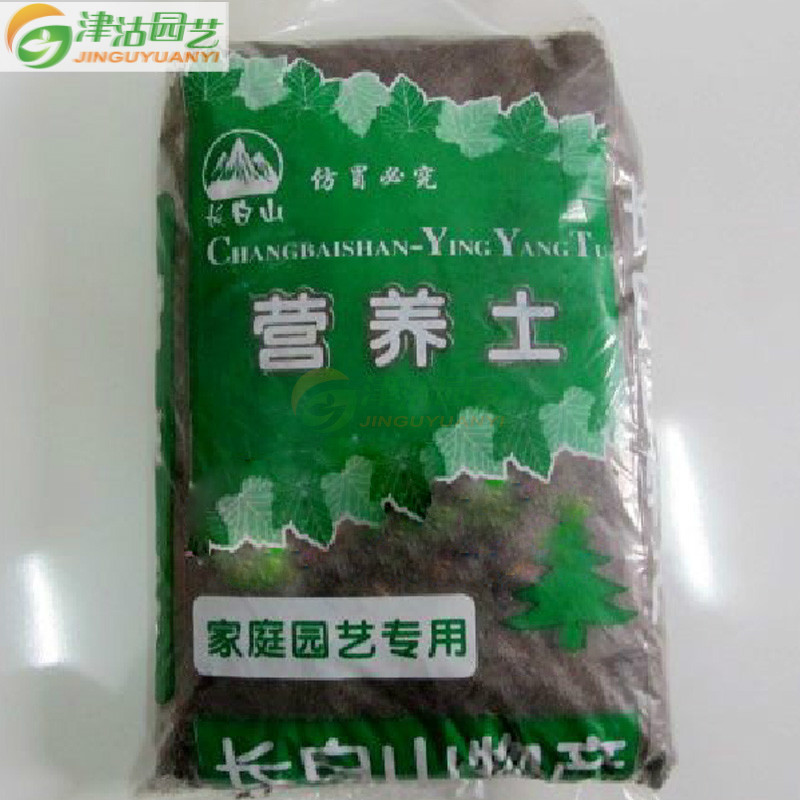 津沽园艺 荷兰进口花卉 风信子种球土培套装 秋冬室内外观赏 3球装带营养土含加仑盆 带消毒剂 品种随机
