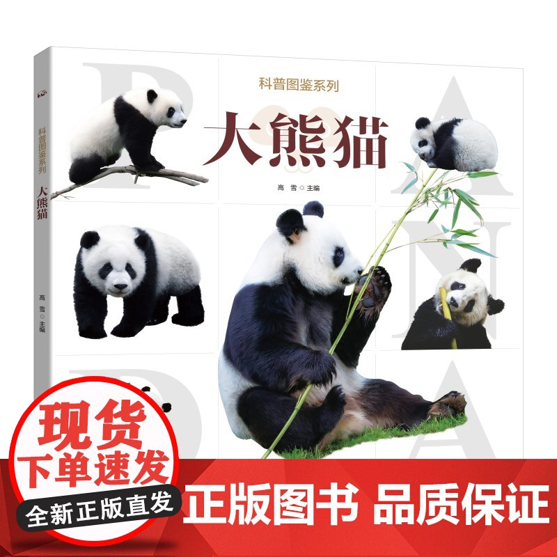 科普图鉴系列·大熊猫高清大图