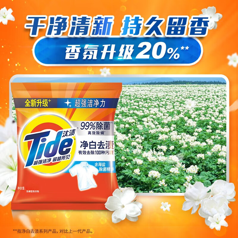 汰渍(Tide) 洗衣粉清香家用衣物无磷净白渍去油污手洗机洗1.15KG高清大图