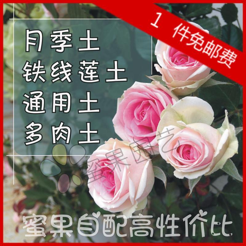 自配高配含肥月季土 铁线莲通用土多肉奥绿泥炭松鳞椰壳营养