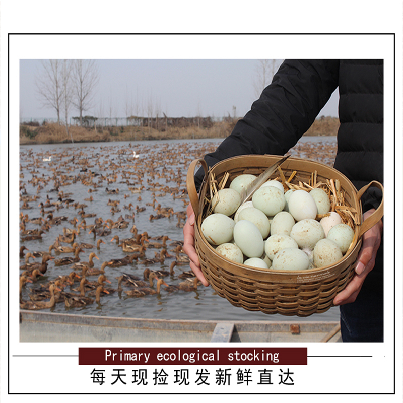 [江苏扶贫][财政集采][沭阳] 苏合汤涧青皮咸鸭蛋 30枚