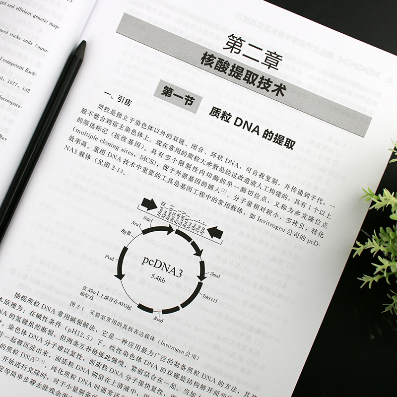 现代分子生物学技术及实验技巧 [正版]生物实验室系列 现代分子生物学技术及实验技巧 第二版 现代分子生物学传统新型实验技高清大图