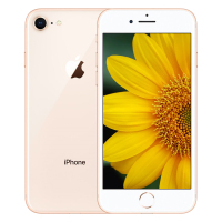 苹果(Apple) iPhone 8 64GB 金色 移动联通电信全网通4G手机 A1863 iphone8