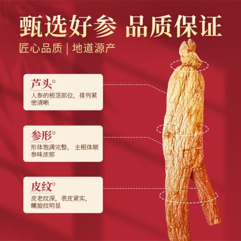 长白山人参纯正高丽参原支粗根200g礼盒图片