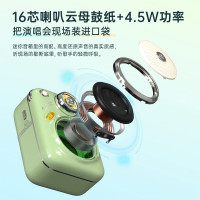 Divoom点音 蓝牙音箱户外旅行便携式随身音响迷你小音箱HIFI大音量低音炮超长续航插卡收音机 甲壳虫2代千禧粉