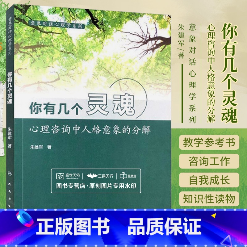 【正版】 你有几个灵魂 心理咨询中人格意象的分解 意象对话心理学系列我是谁 意象对话 朱建军著 人民卫生出版社