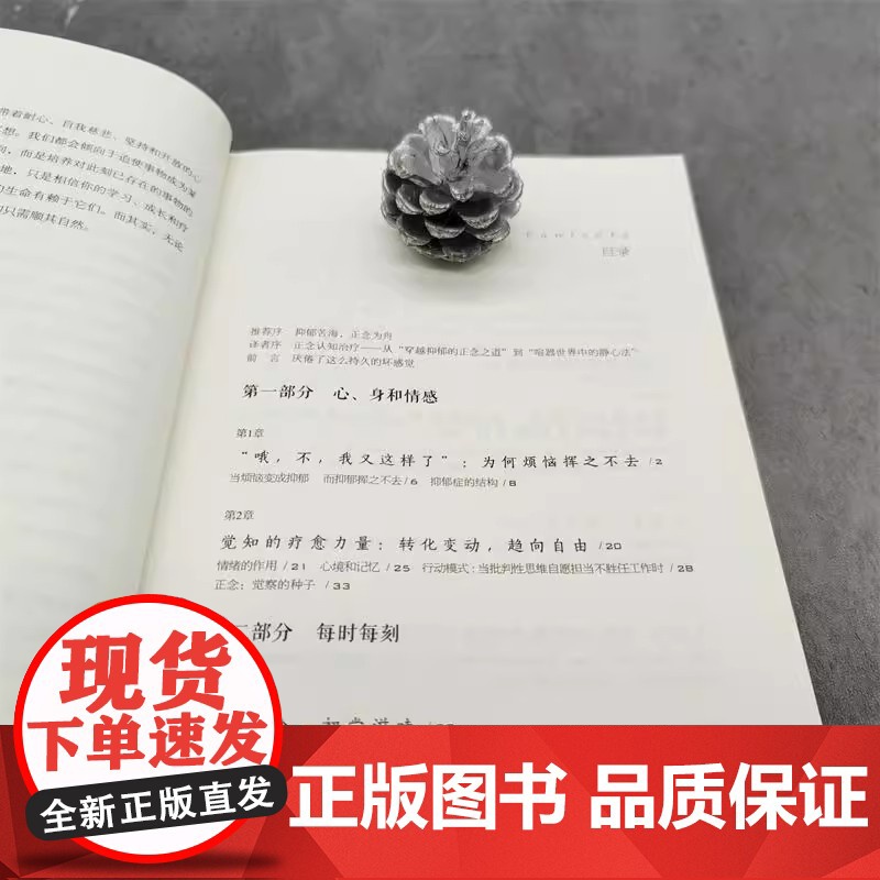 正版 穿越抑郁的正念之道 马克 威廉姆斯 心理活动 情绪 自我控制 情感 疗愈力量 烦恼 心境 记忆 行动模式 目标高清大图
