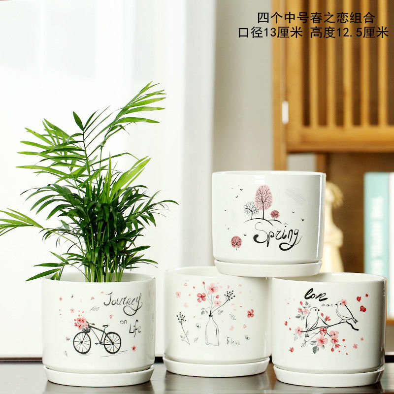 多肉植物批发 报价行情 排行 品牌 参数 怎么样 图片 商家 苏宁易购