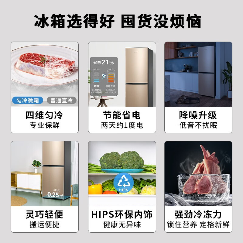 创维 创维170升小型双门冰箱家用两门小冰箱 迷你节能低音电冰箱 家用租房冰箱 BCD-170普利金